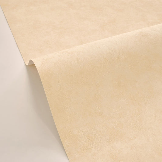 Beton Uni Wallpaper - Dune - Caselio - 101481674 - Premier Wallcovering