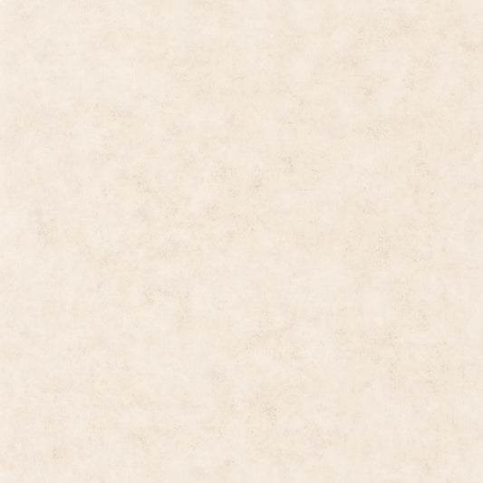 Beton Uni Wallpaper - Beige Moyen - Caselio - 101481002 - Premier Wallcovering
