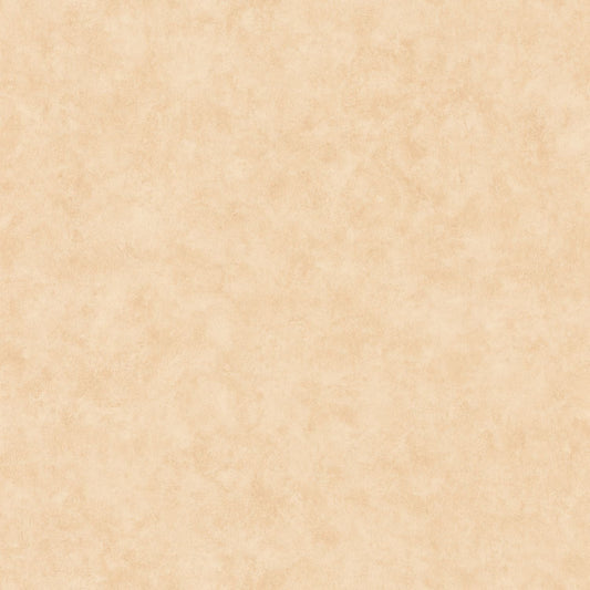 Beton Uni Wallpaper - Dune - Caselio - 101481674 - Premier Wallcovering