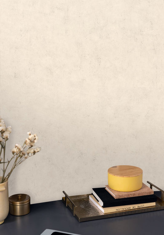 Beton Uni Wallpaper - Taupe Beige Clair - Caselio - 101481258 - Premier Wallcovering