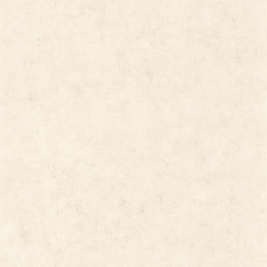 Beton Uni Wallpaper - Taupe Beige Clair - Caselio - 101481258 - Premier Wallcovering
