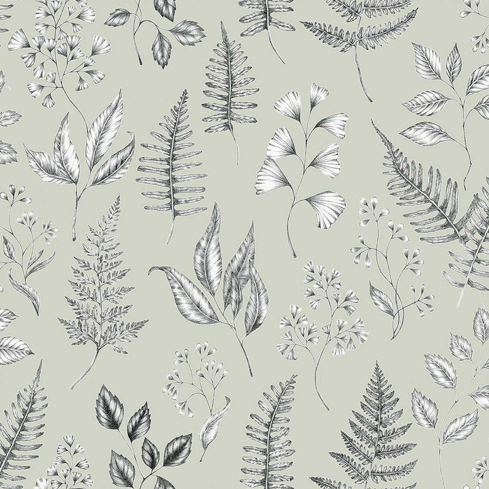 Betula Wallpaper - Light Green - Midbec - 15932 - Premier Wallcovering