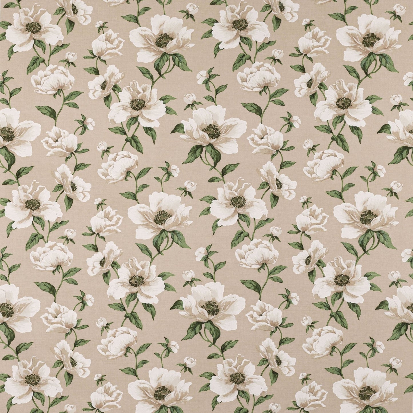 Bianca Fabric - Nacre - Manuel Canovas - M4097-01 - Premier Wallcovering