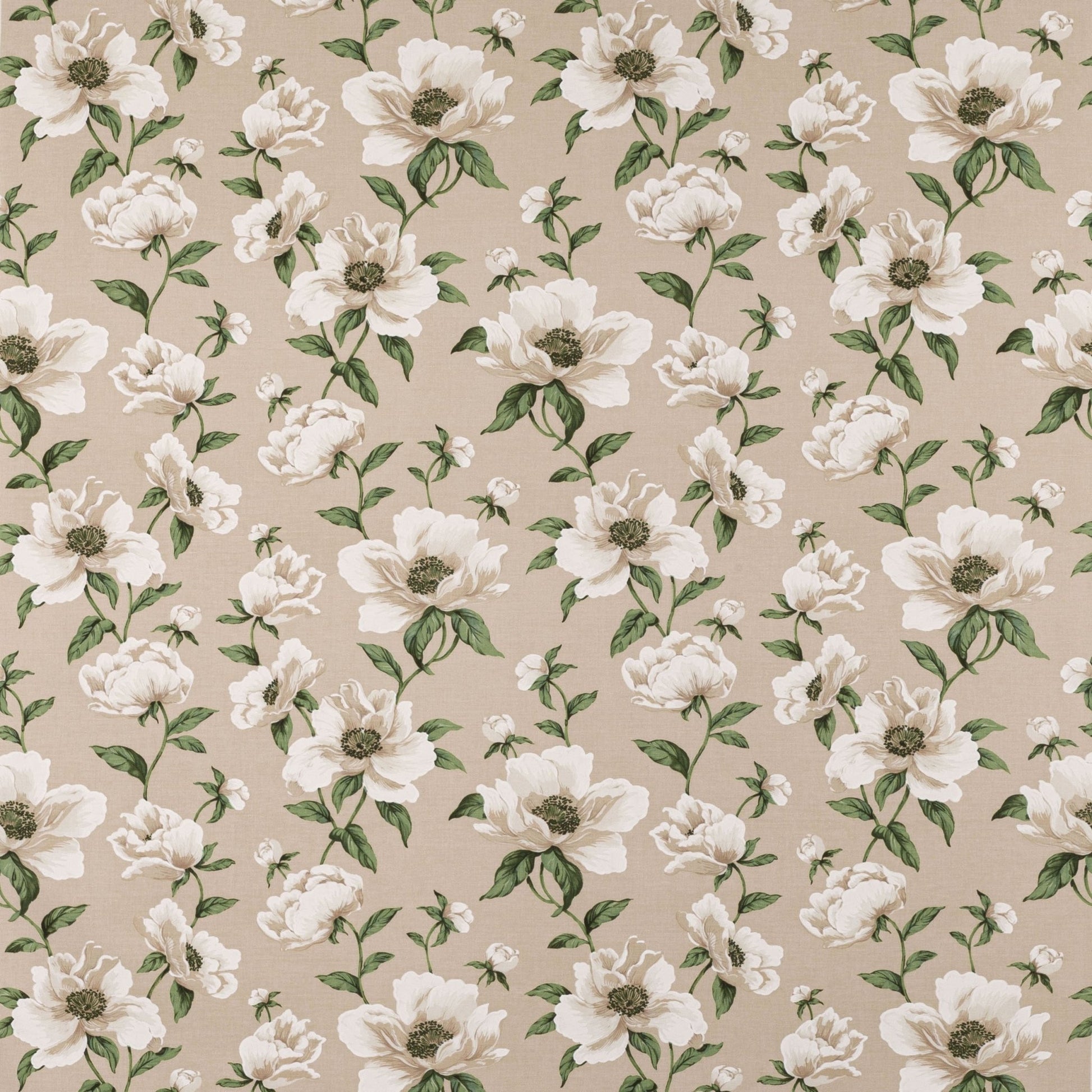 Bianca Fabric - Nacre - Manuel Canovas - M4097-01 - Premier Wallcovering