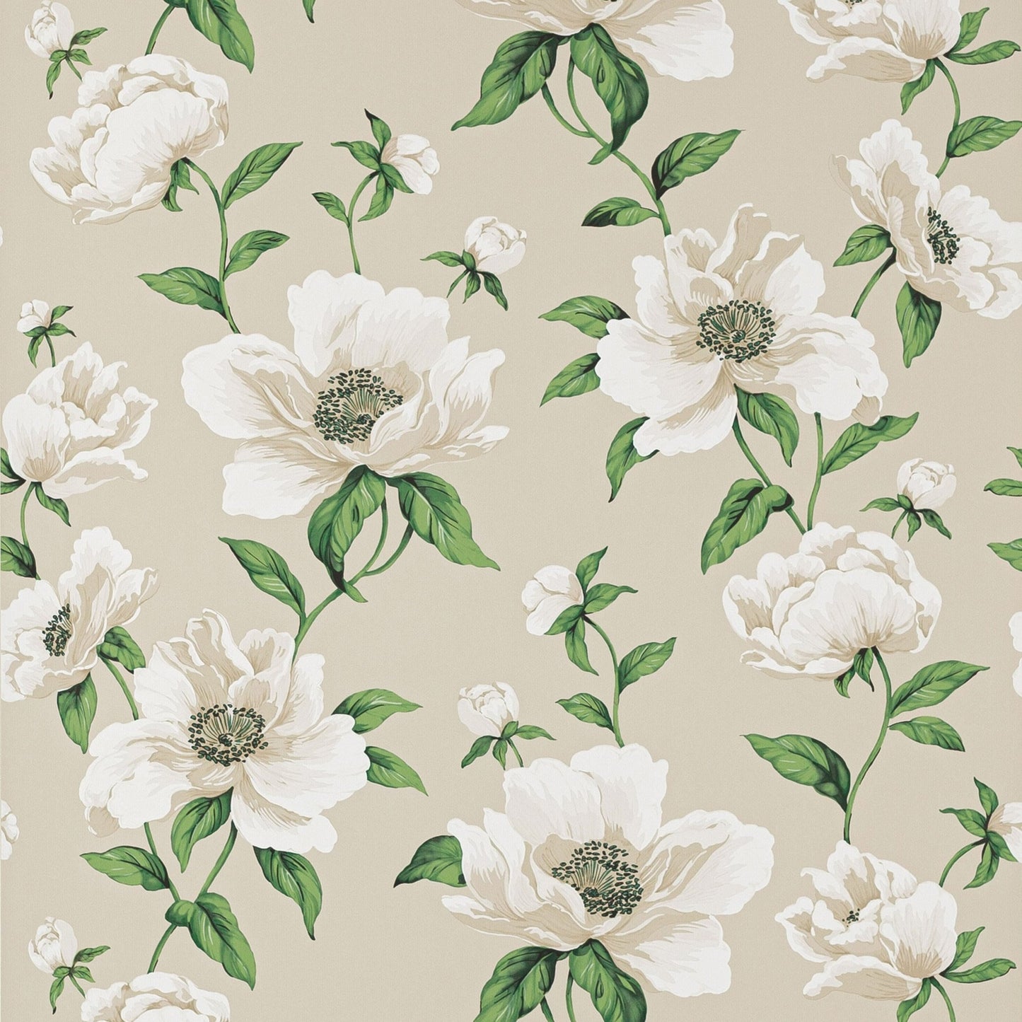 Bianca Wallpaper - Nacre - Manuel Canovas - 03118-01 - Premier Wallcovering
