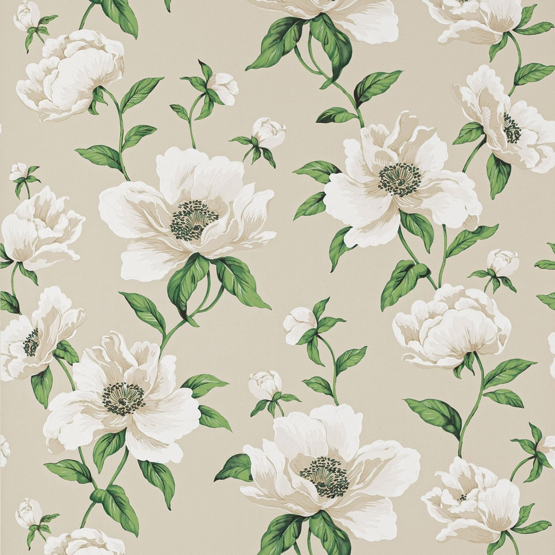 Bianca Wallpaper - Nacre - Manuel Canovas - 03118-01 - Premier Wallcovering