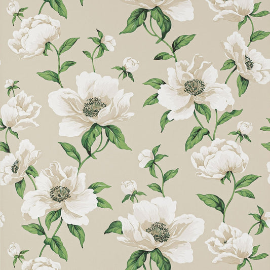 Bianca Wallpaper - Nacre - Manuel Canovas - 03118-01 - Premier Wallcovering