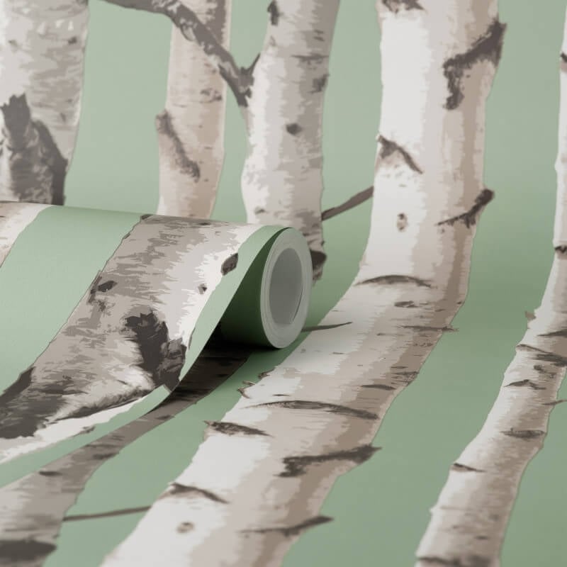 Birch Trees Wallpaper - Sage - Fine Décor - FD43291 - Premier Wallcovering
