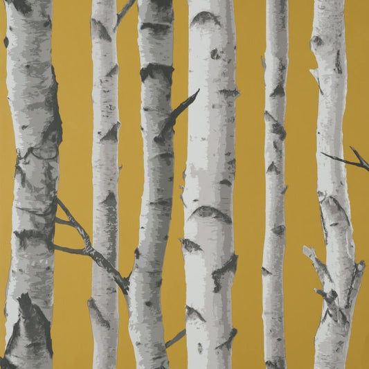 Birch Trees Wallpaper - Mustard - Fine Décor - FD43290 - Premier Wallcovering
