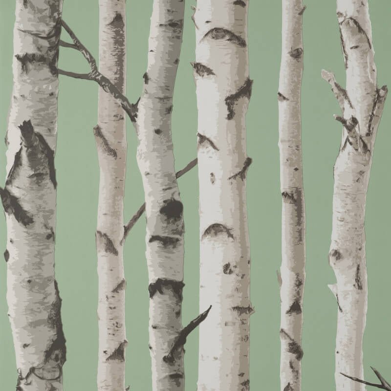 Birch Trees Wallpaper - Sage - Fine Décor - FD43291 - Premier Wallcovering