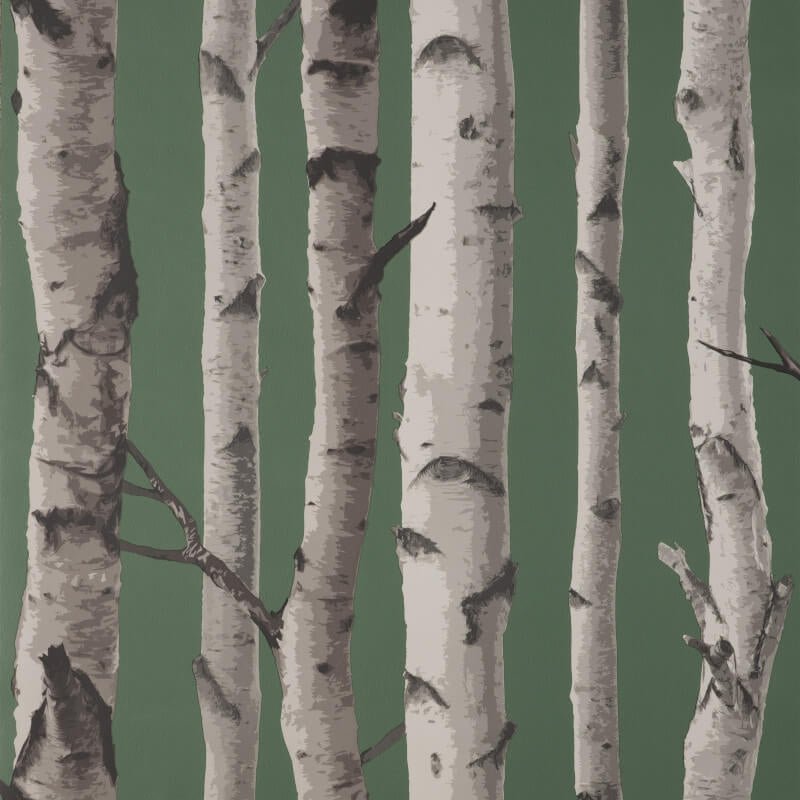 Birch Trees Wallpaper - Hunter Green - Fine Décor - FD43292 - Premier Wallcovering