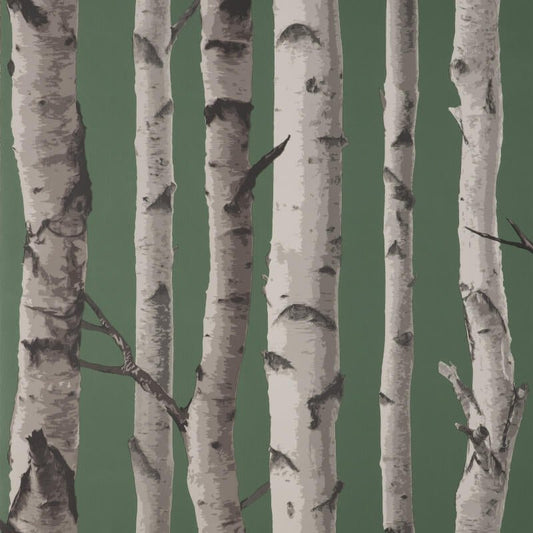 Birch Trees Wallpaper - Hunter Green - Fine Décor - FD43292 - Premier Wallcovering