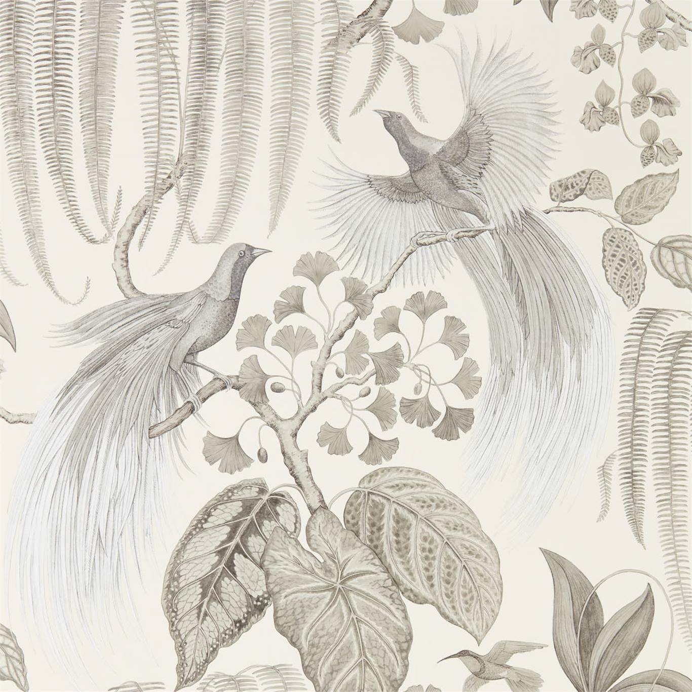Bird Of Paradise Wallpaper - Linen - Sanderson - DGLW216652 - Premier Wallcovering