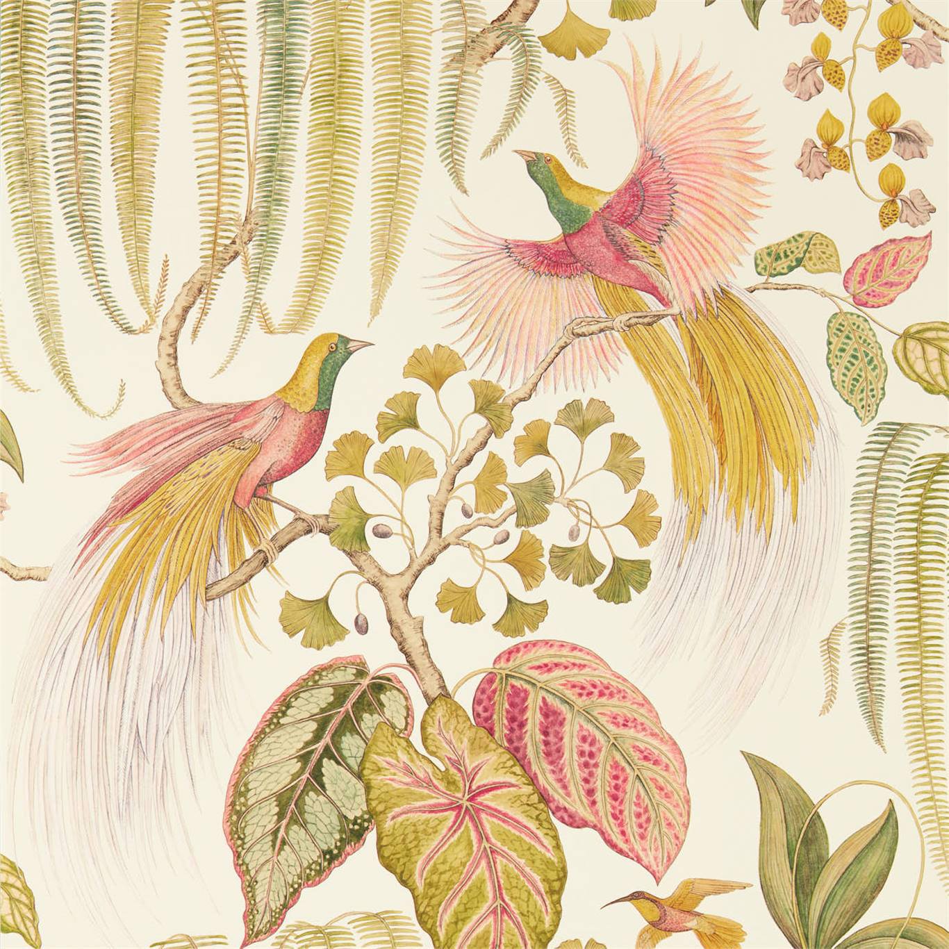 Bird Of Paradise Wallpaper - Olive - Sanderson - DGLW216653 - Premier Wallcovering