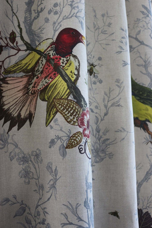 Birds N Bees Fabric - Original - Timorous Beasties - DIGI/BNB/3012/01 - Premier Wallcovering