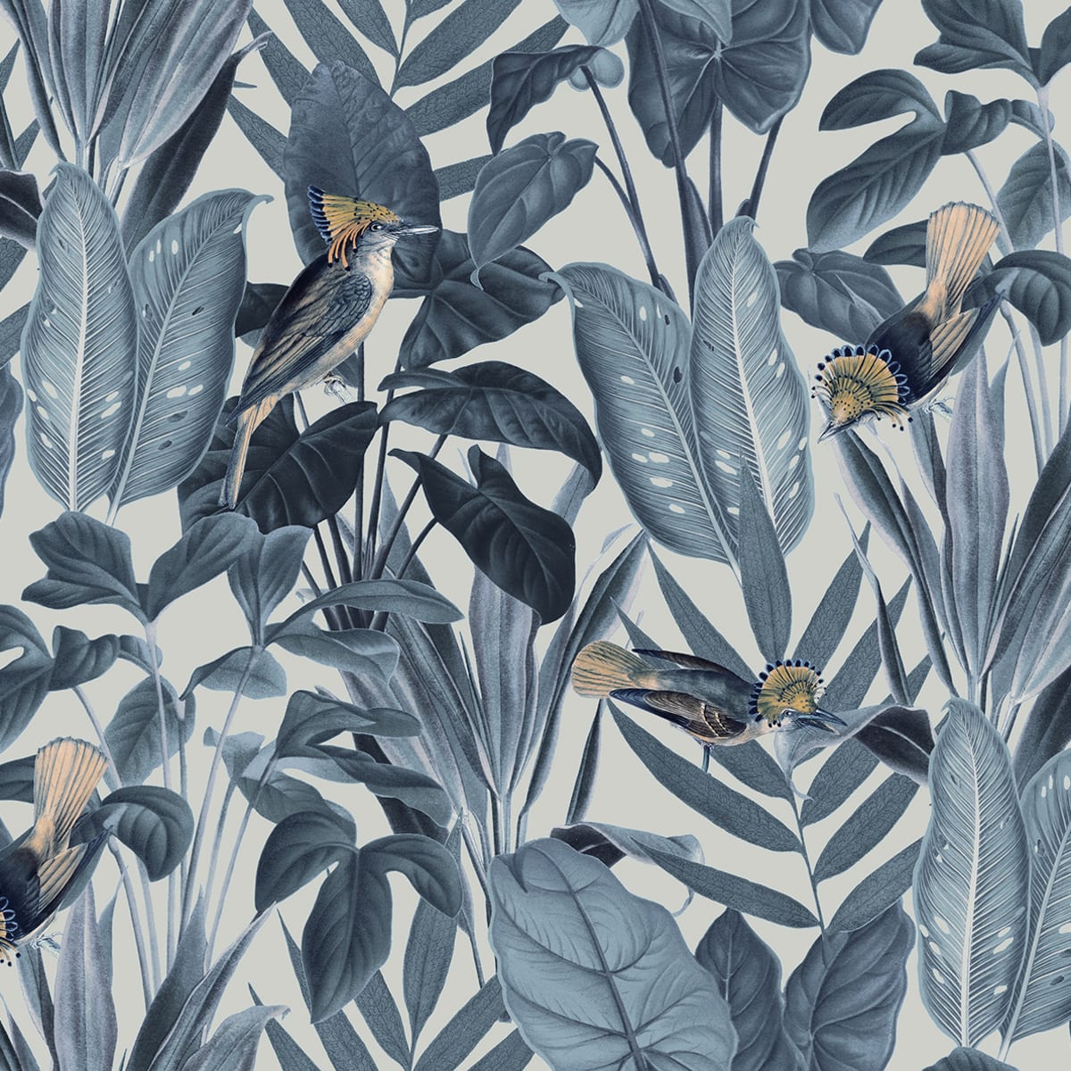 Birds of Paradise Wallpaper - Nightfall - Rebel Walls - R18564 - Premier Wallcovering