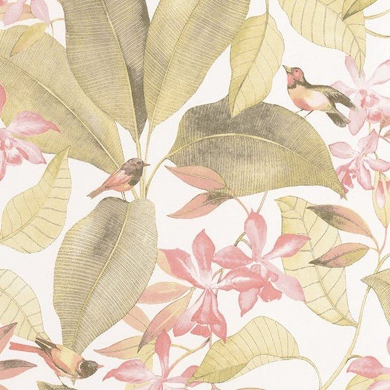Birdsong Delicacy Wallpaper - Vert And Rose - Casadeco - 85387103 - Premier Wallcovering