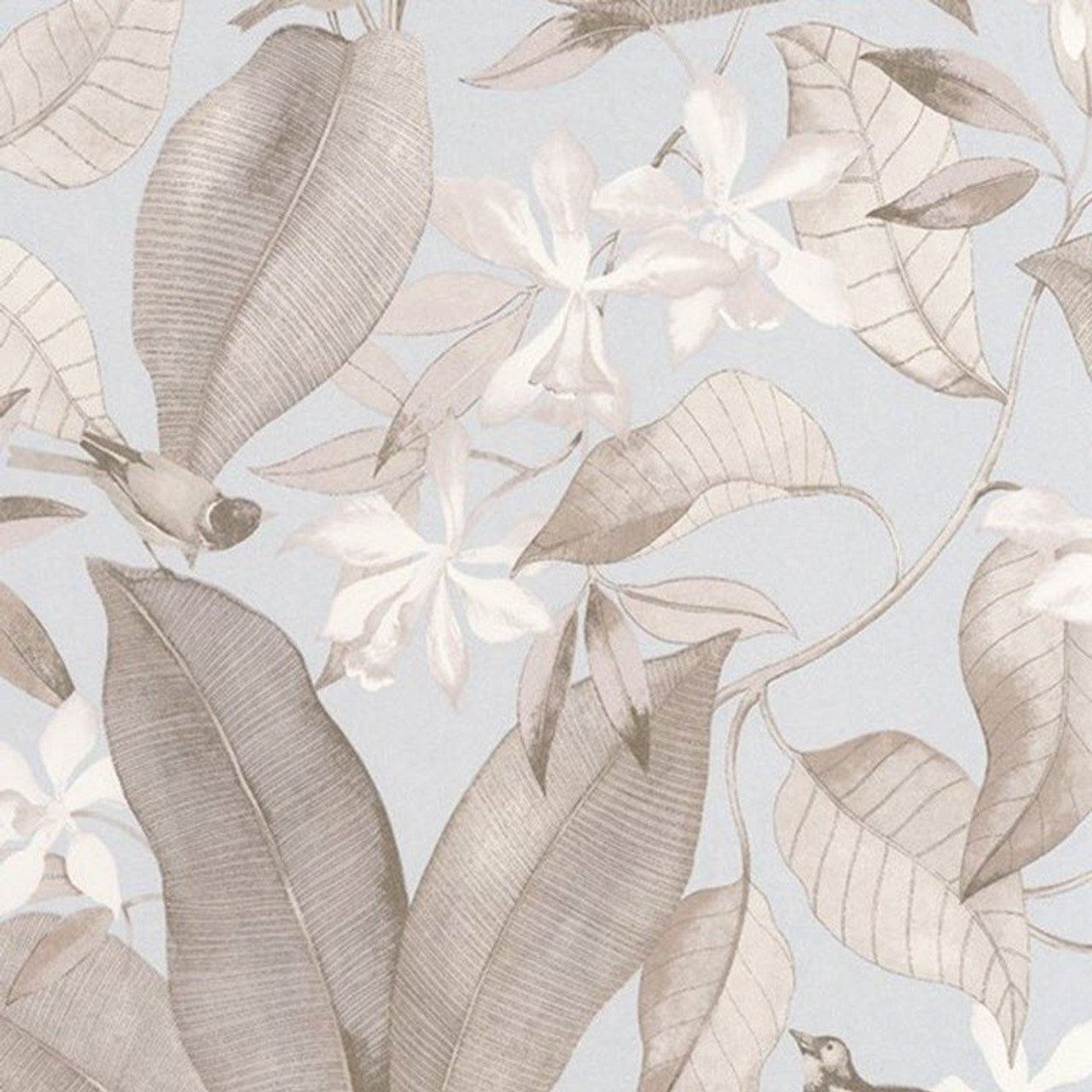 Birdsong Delicacy Wallpaper - Bleu And Taupe - Casadeco - 85382261 - Premier Wallcovering