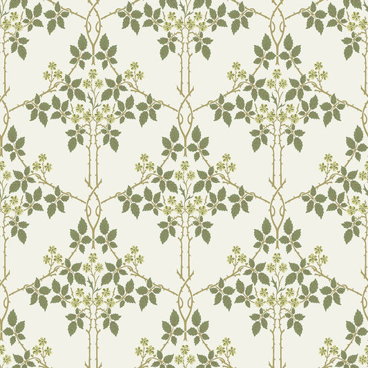 Blackberry Wallpaper - White / Green - Midbec - 82053 - Premier Wallcovering