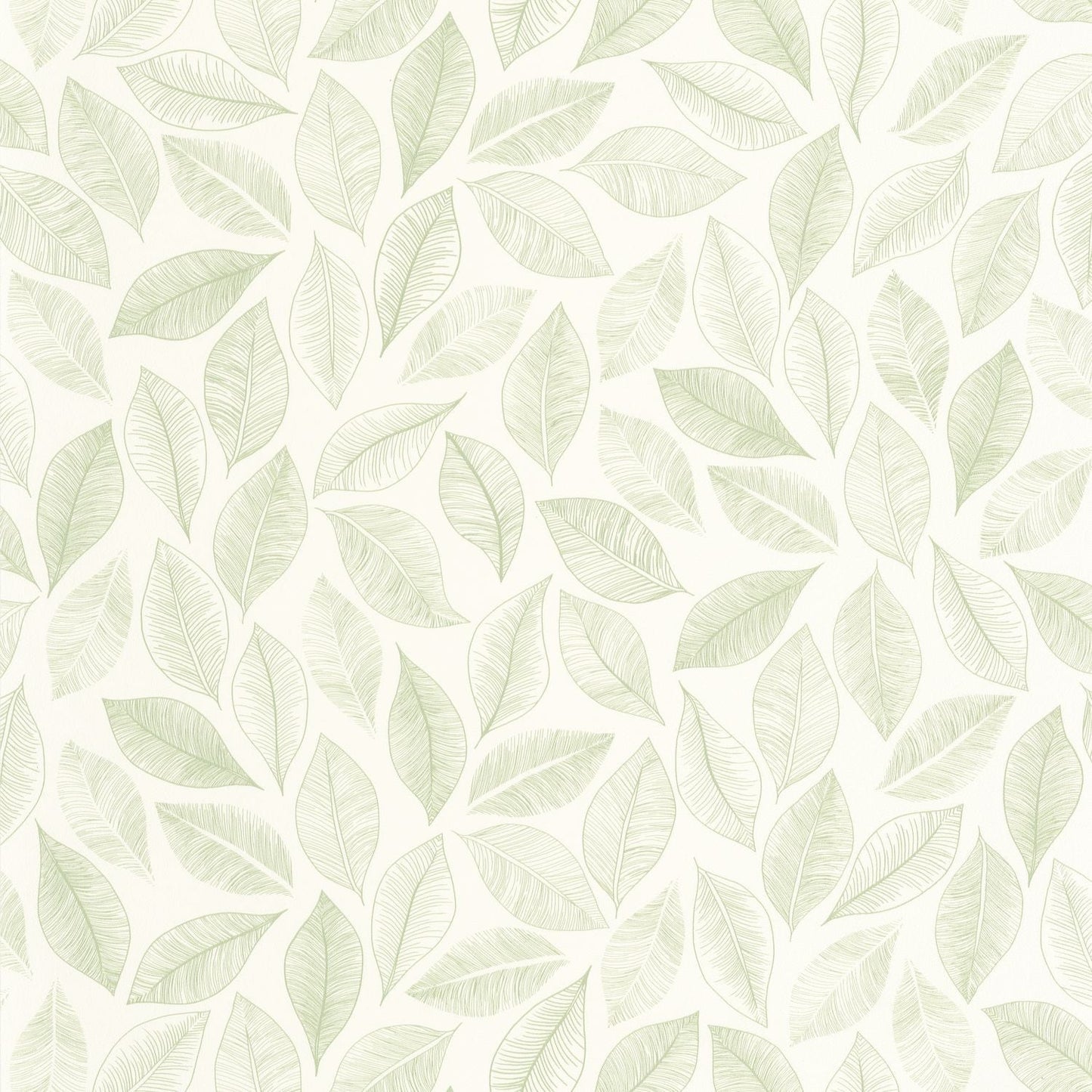 Bliss Wallpaper - Blanc Vert Mousse - Caselio - 105380755 - Premier Wallcovering