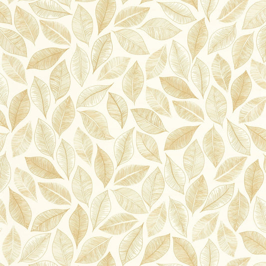 Bliss Wallpaper - Blanc - Caselio - 105380246 - Premier Wallcovering