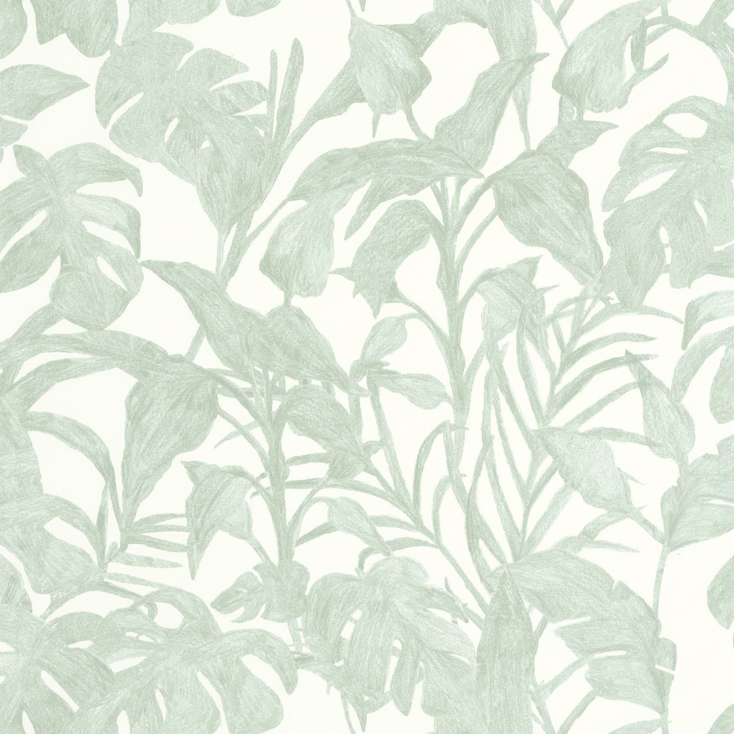 Bogota Wallpaper - Vert D'eau - Caselio - 103870788 - Premier Wallcovering