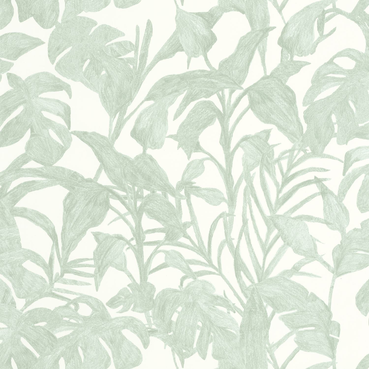 Bogota Wallpaper - Vert D'eau - Caselio - 103870788 - Premier Wallcovering
