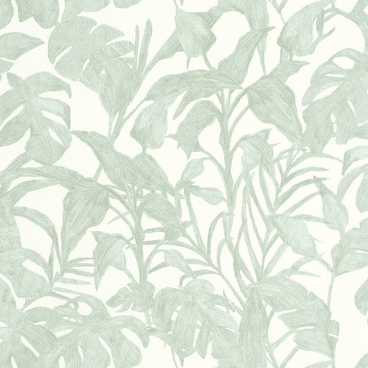 Bogota Wallpaper - Vert D'eau - Caselio - 103870788 - Premier Wallcovering