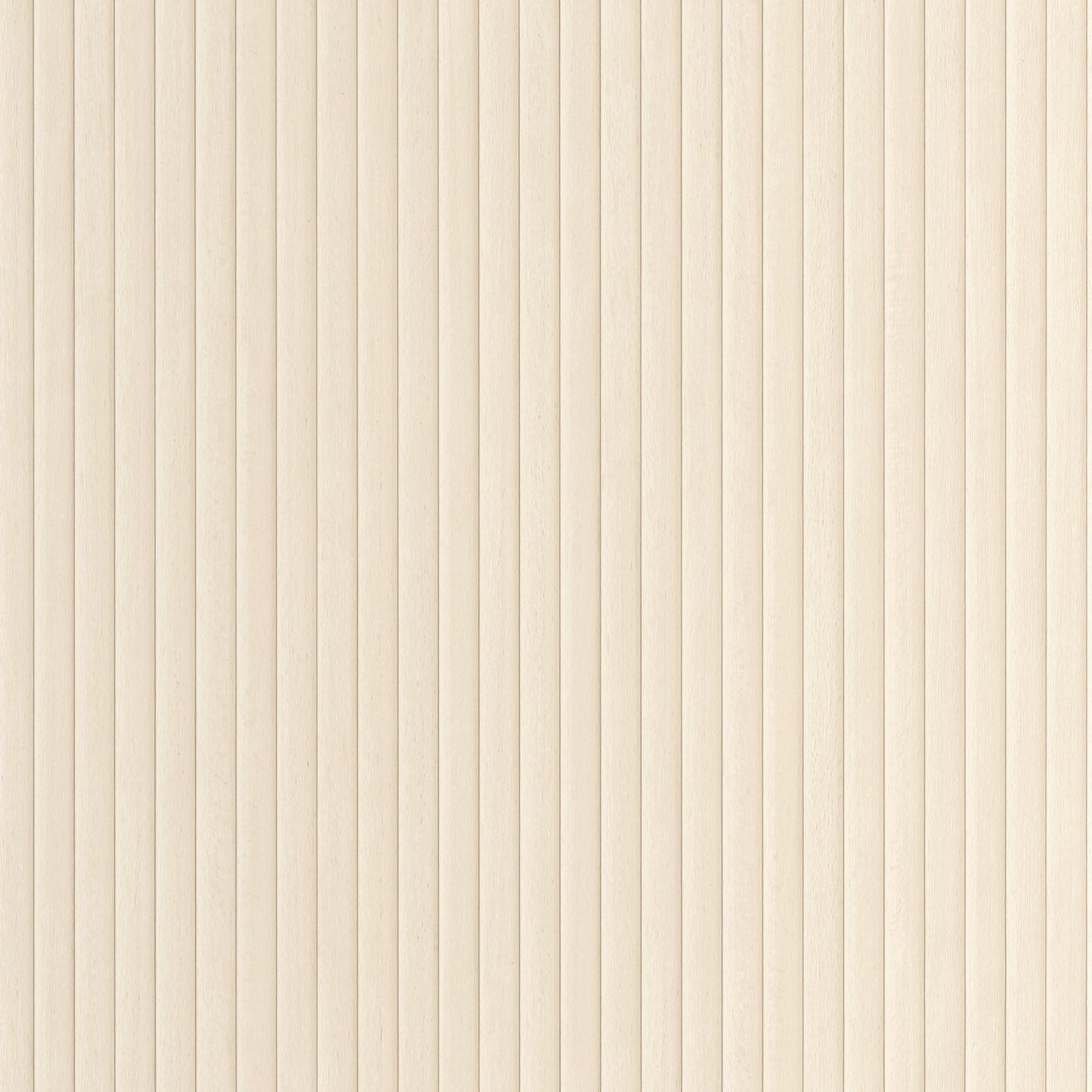 Boisea Wallpaper - Blanc - Caselio - 106840000 - Premier Wallcovering