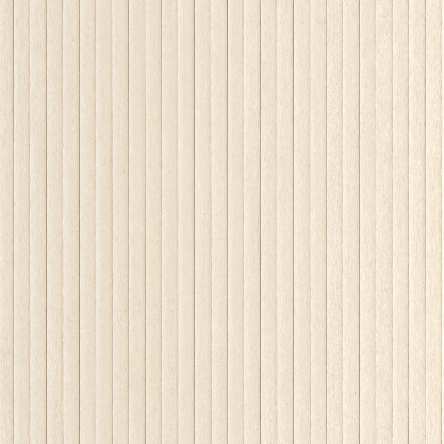 Boisea Wallpaper - Blanc - Caselio - 106840000 - Premier Wallcovering