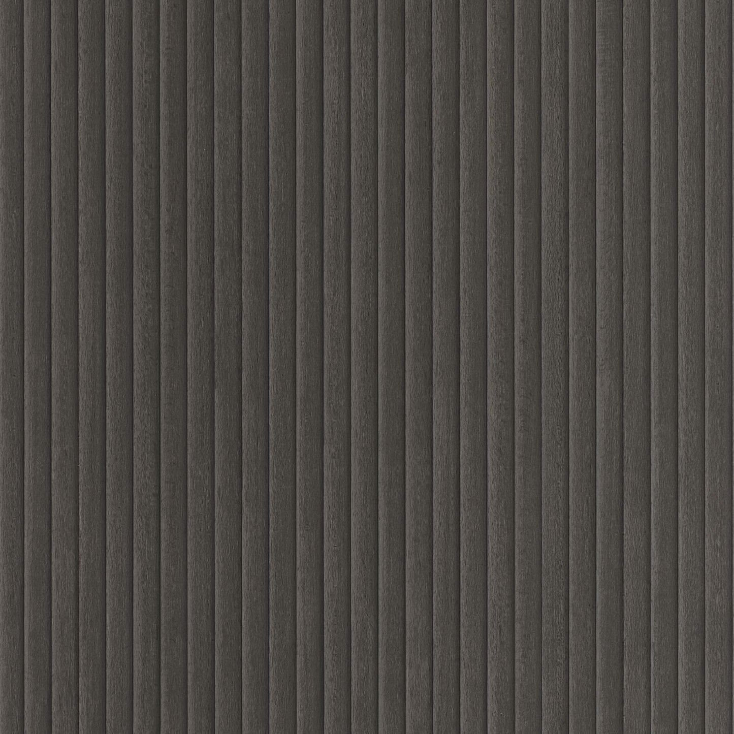 Boisea Wallpaper - Noir - Caselio - 106849089 - Premier Wallcovering