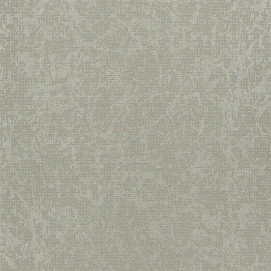 Boratti Wallpaper - Birch - PDG682/01 - Designers Guild - Premier Wallcovering