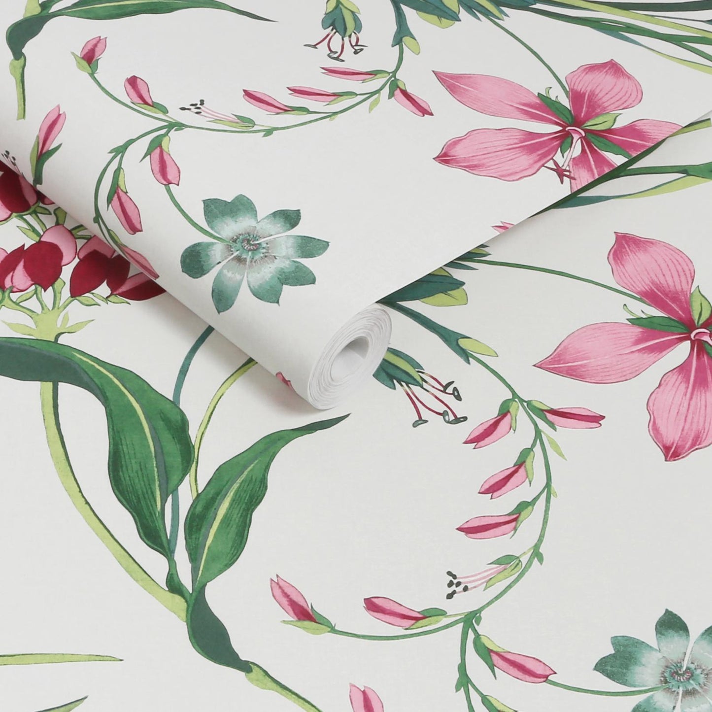 Botanists Scroll Wallpaper - Pink - Graham & Brown - 130296 - Premier Wallcovering