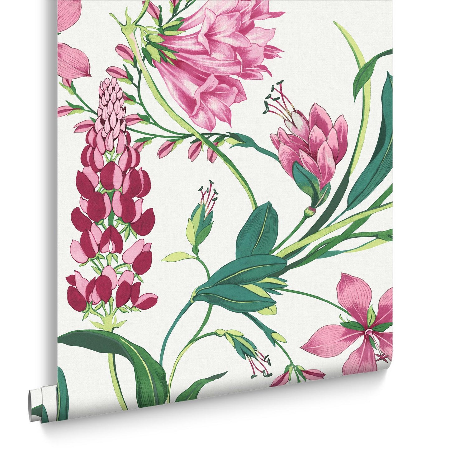 Botanists Scroll Wallpaper - Pink - Graham & Brown - 130296 - Premier Wallcovering