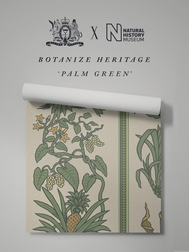 Botanize Heritage Wallpaper - Palm Green - Divine Savages - DVS047-BH-PGR-WR - Premier Wallcovering