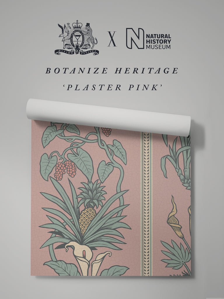 Botanize Heritage Wallpaper - Plaster Pink - Divine Savages - DVS048-BH-PINK-WR - Premier Wallcovering