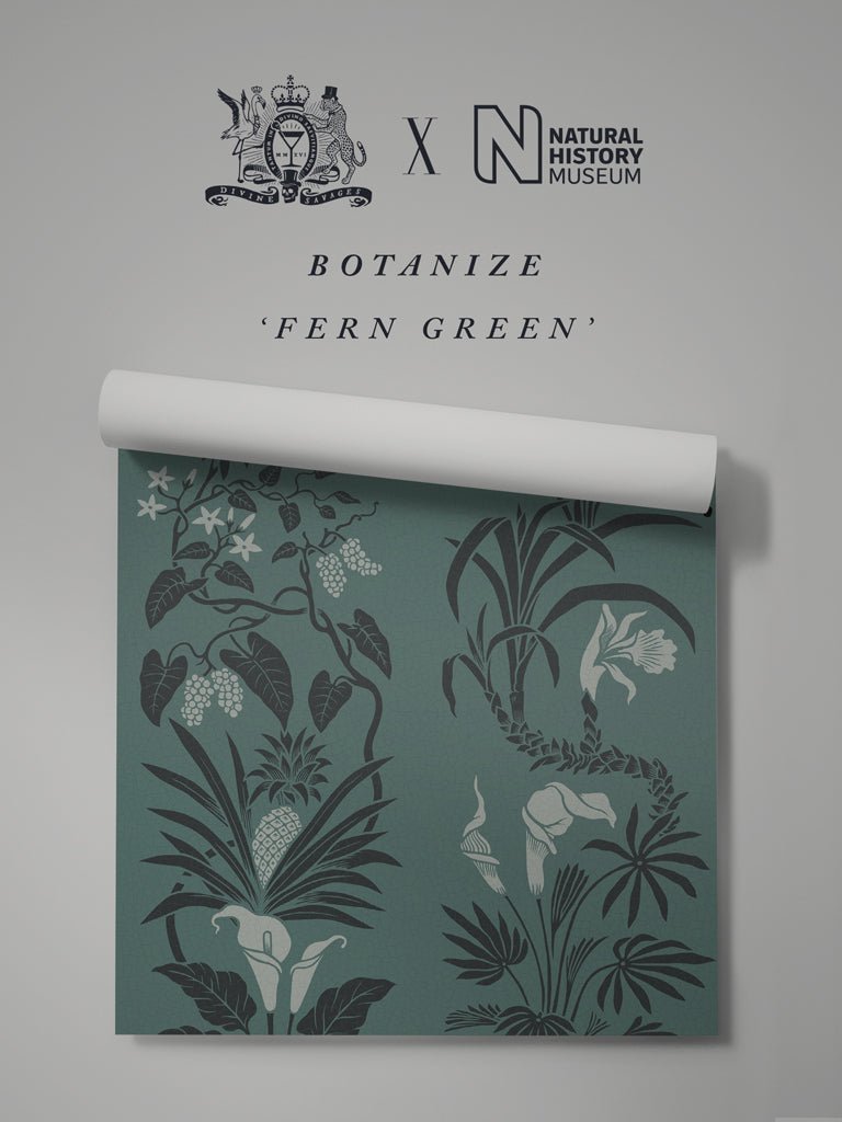 Botanize Wallpaper - Fern Green - Divine Savages - DVS043-BOT-FGR-WR - Premier Wallcovering