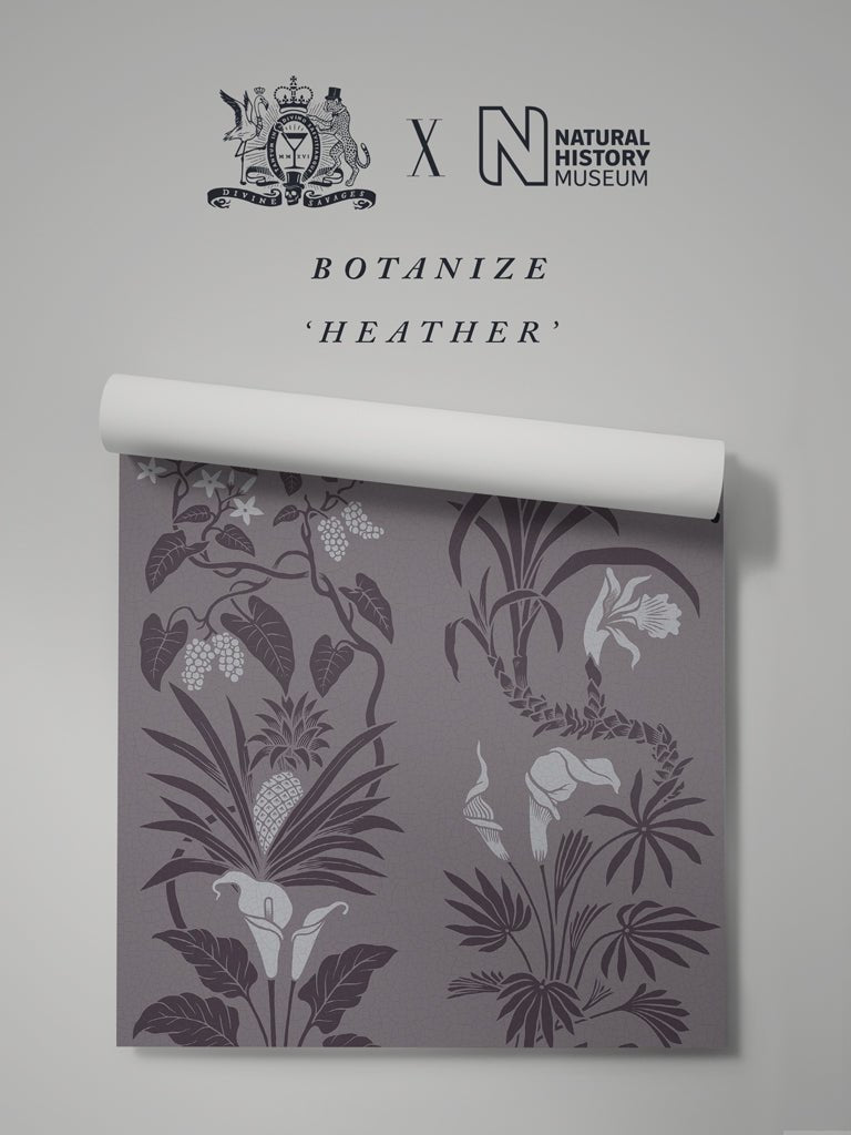 Botanize Wallpaper - Heather - Divine Savages - DVS042-BOT-HTH-WR - Premier Wallcovering