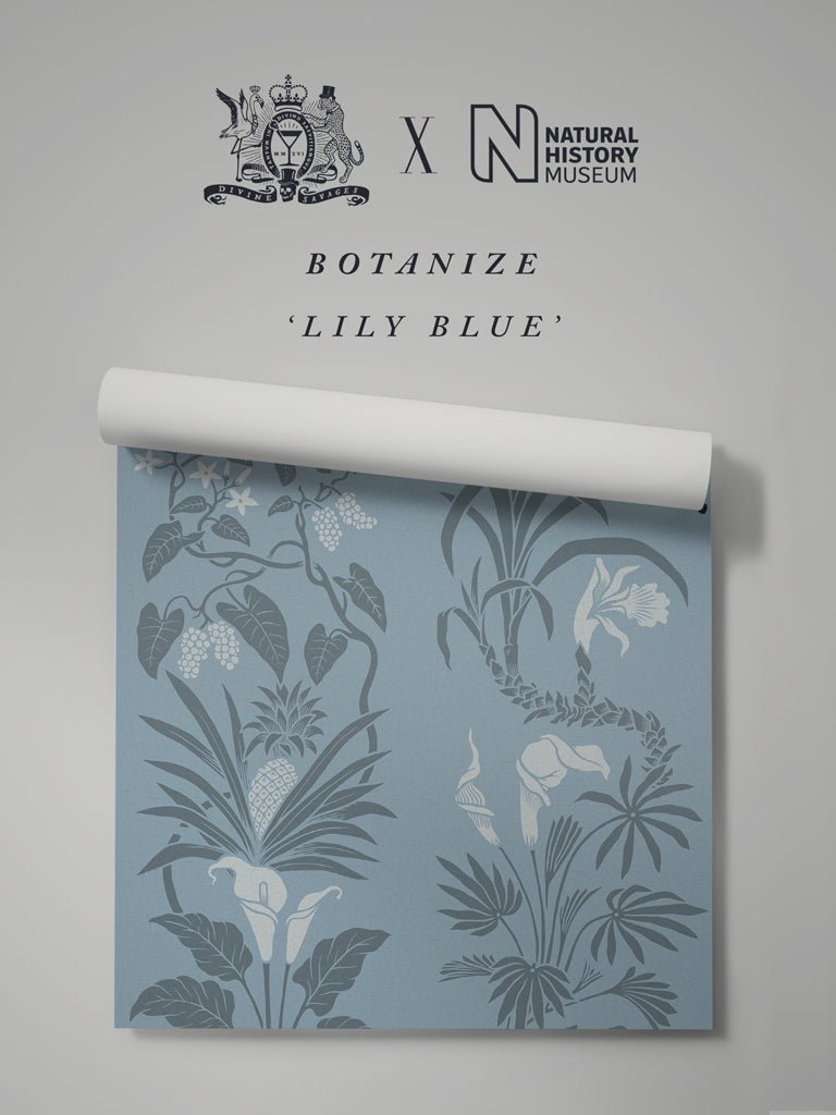 Botanize Wallpaper - Lily Blue - Divine Savages - DVS045-BOT-LBL-WR - Premier Wallcovering