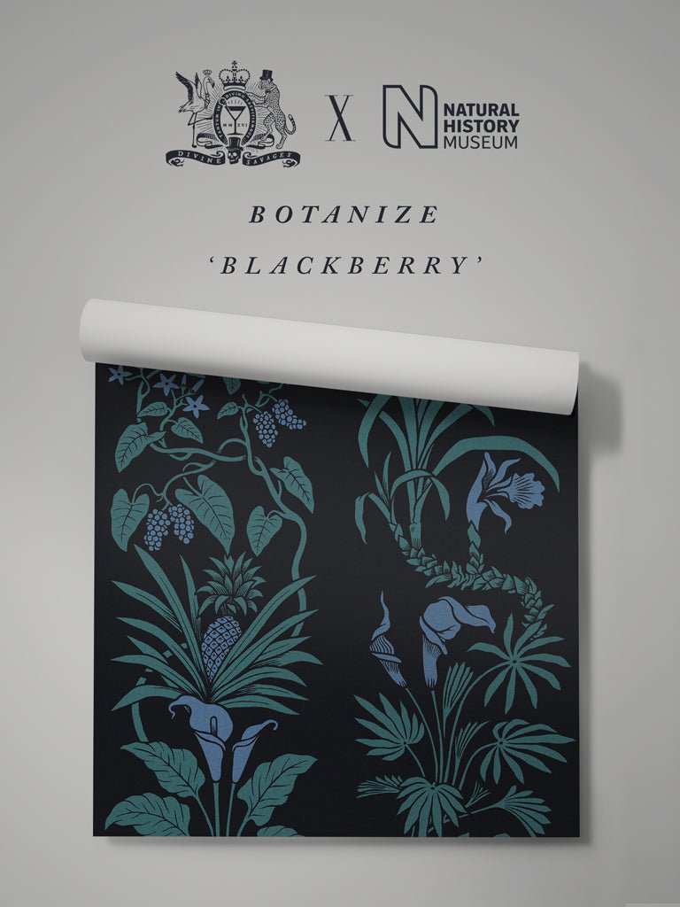 Botanize Wallpaper - Blackberry - Divine Savages - DVS044-BOT-BLK-WR - Premier Wallcovering