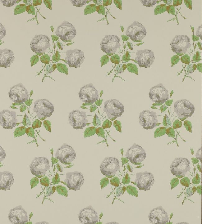 Bowood Wallpaper - Grey/Green - Colefax & Fowler - 07401/02 - Premier Wallcovering