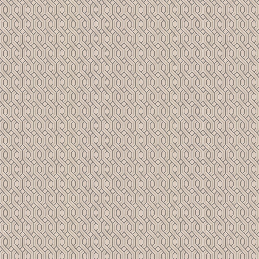 Boxwood Trellis Wallpaper - Blush - GP & J Baker - BW45082/5 - Premier Wallcovering