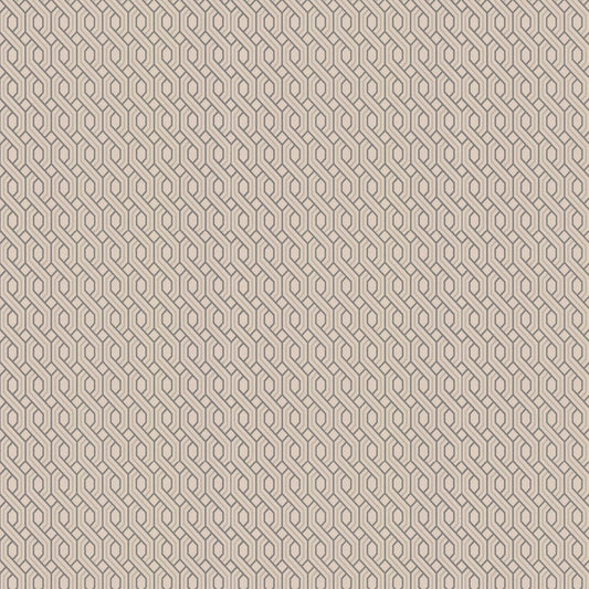Boxwood Trellis Wallpaper - Blush - GP & J Baker - BW45082/5 - Premier Wallcovering