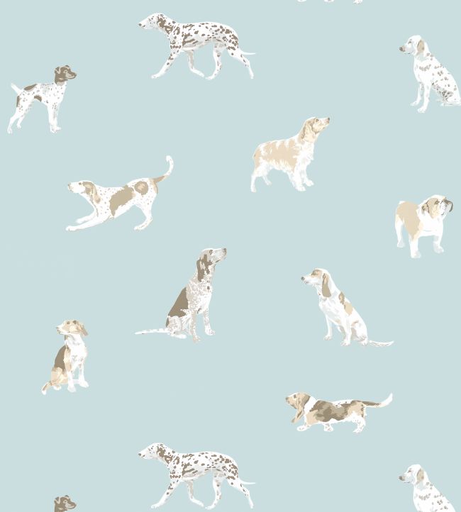Buddy Wallpaper - Robin's Egg - AT24603 - Anna French - Premier Wallcovering