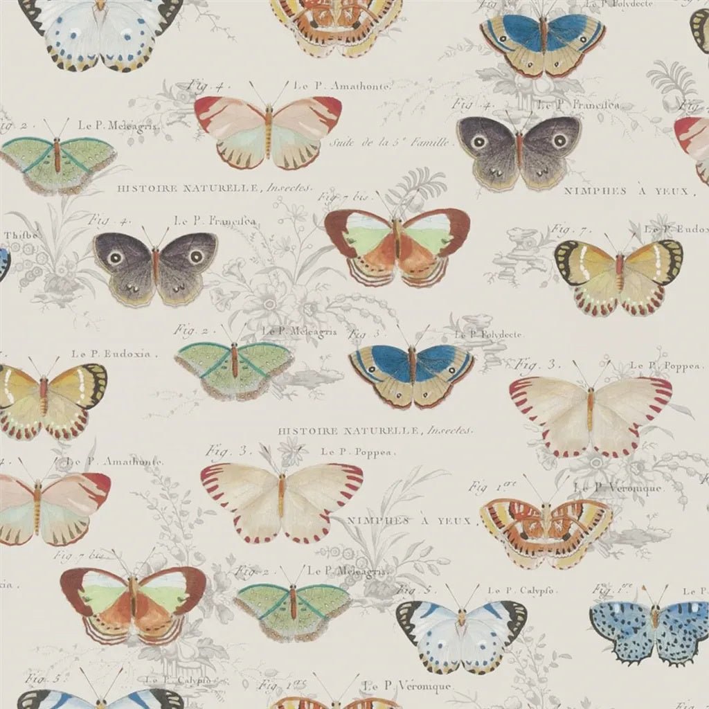 Butterfly Studies Wallpaper - Parchment - John Derian - PJD6017/01 - Premier Wallcovering
