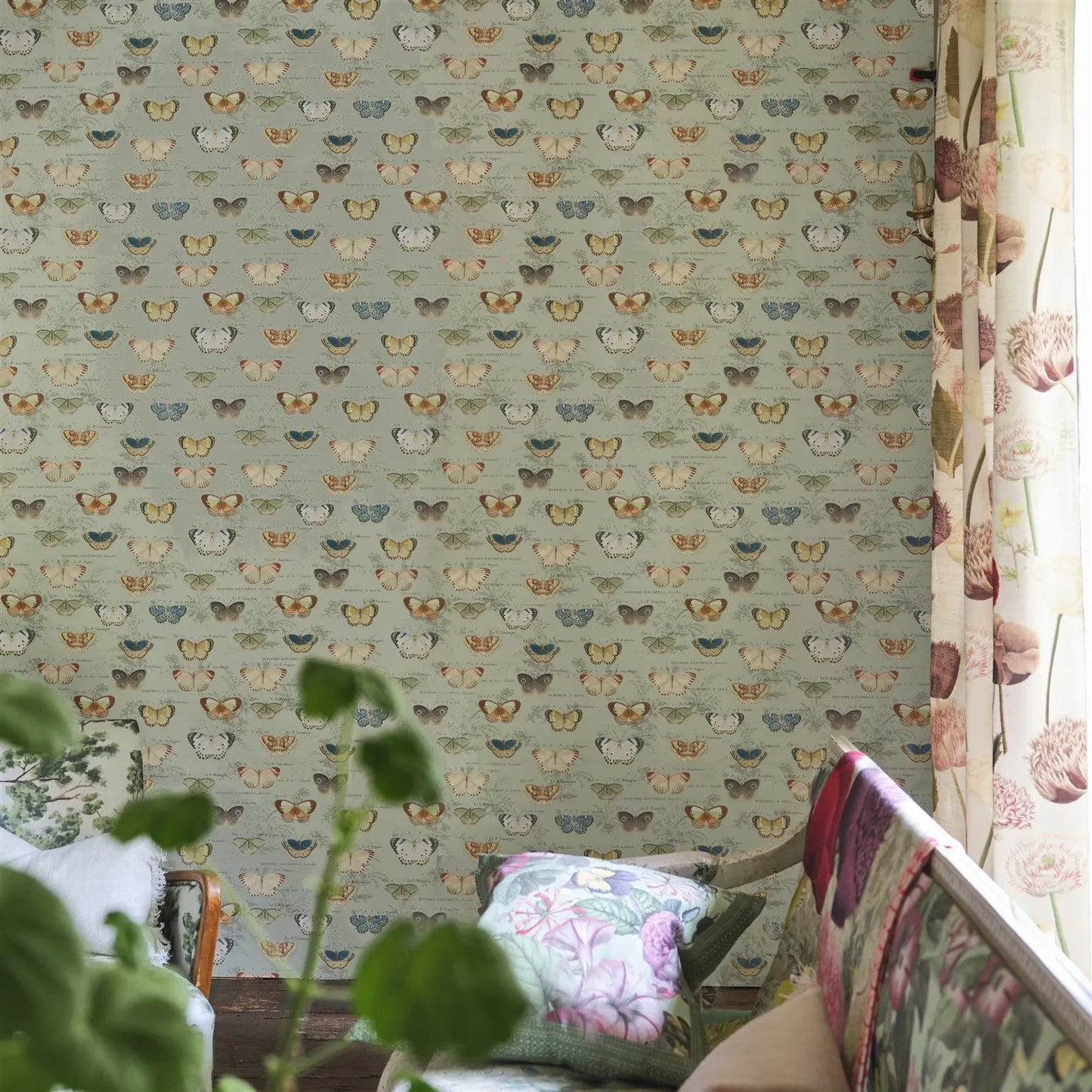 Butterfly Studies Wallpaper - Eau De Nil - John Derian - PJD6017/03 - Premier Wallcovering