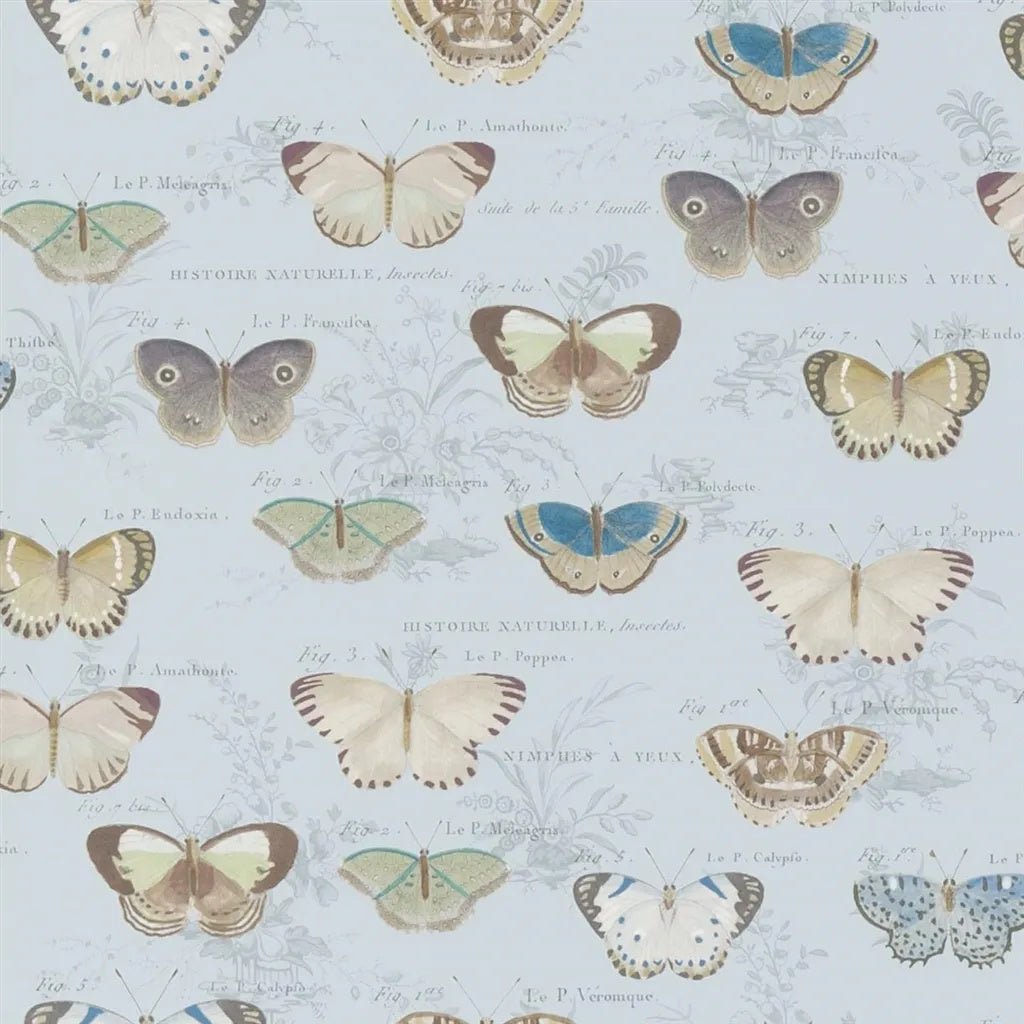 Butterfly Studies Wallpaper - Cloud Blue - John Derian - PJD6017/02 - Premier Wallcovering