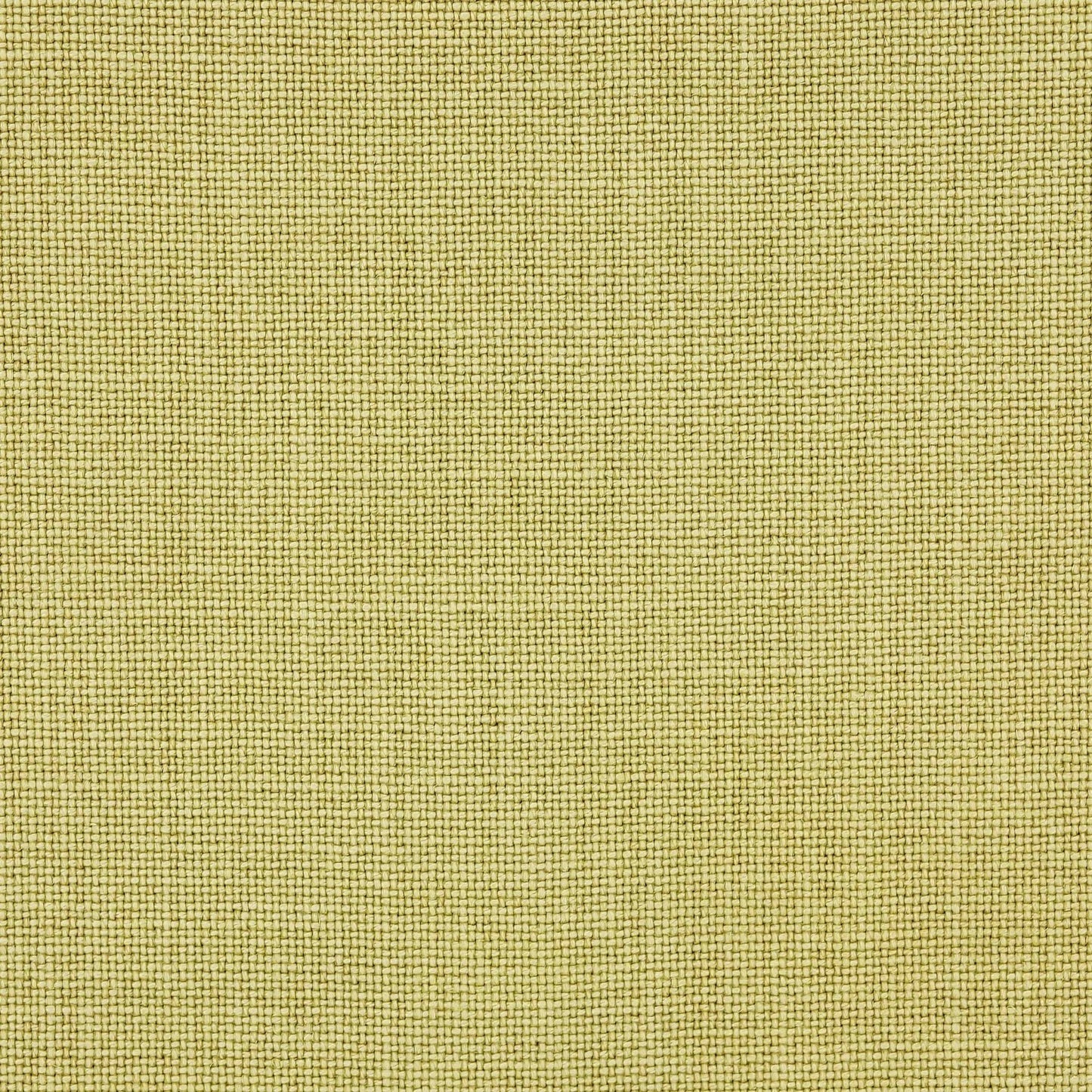 Cabris Fabric - Anis - Manuel Canovas - M4018-11 - Premier Wallcovering