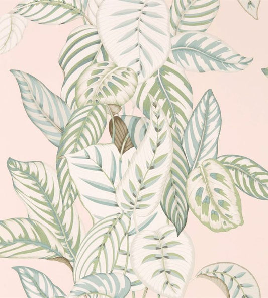 Calathea Wallpaper - Orchid/Eucalyptus - DGLW216632 - Sanderson - Premier Wallcovering