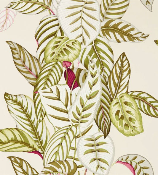 Calathea Wallpaper - Olive - DGLW216631 - Sanderson - Premier Wallcovering